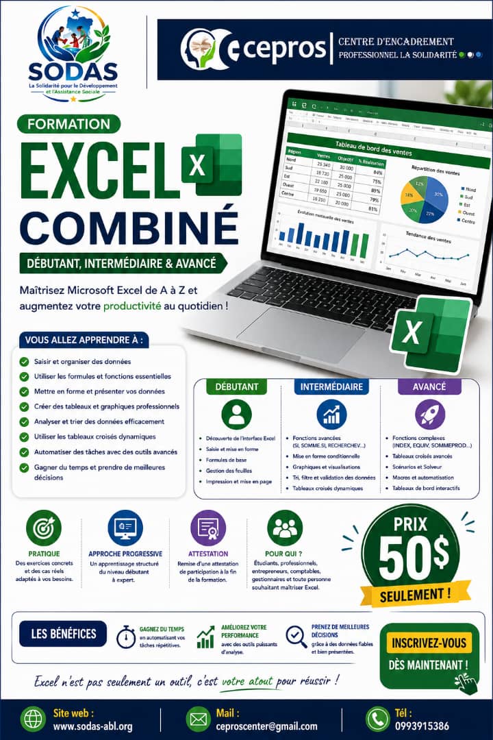 FORMATION EN EXCEL COMBINEE